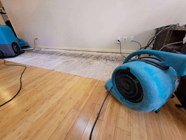 Professional Water Damage Repair technician working in Clovis, NM